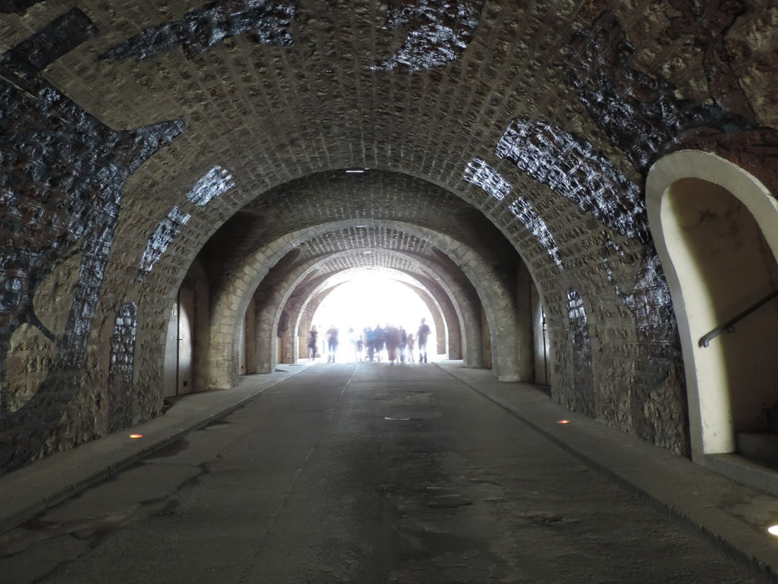 Fort Rêveur Young