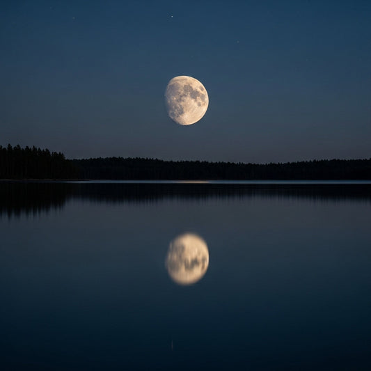 A quoi bon s'agiter, se dit Dame Lune en Sagittaire...